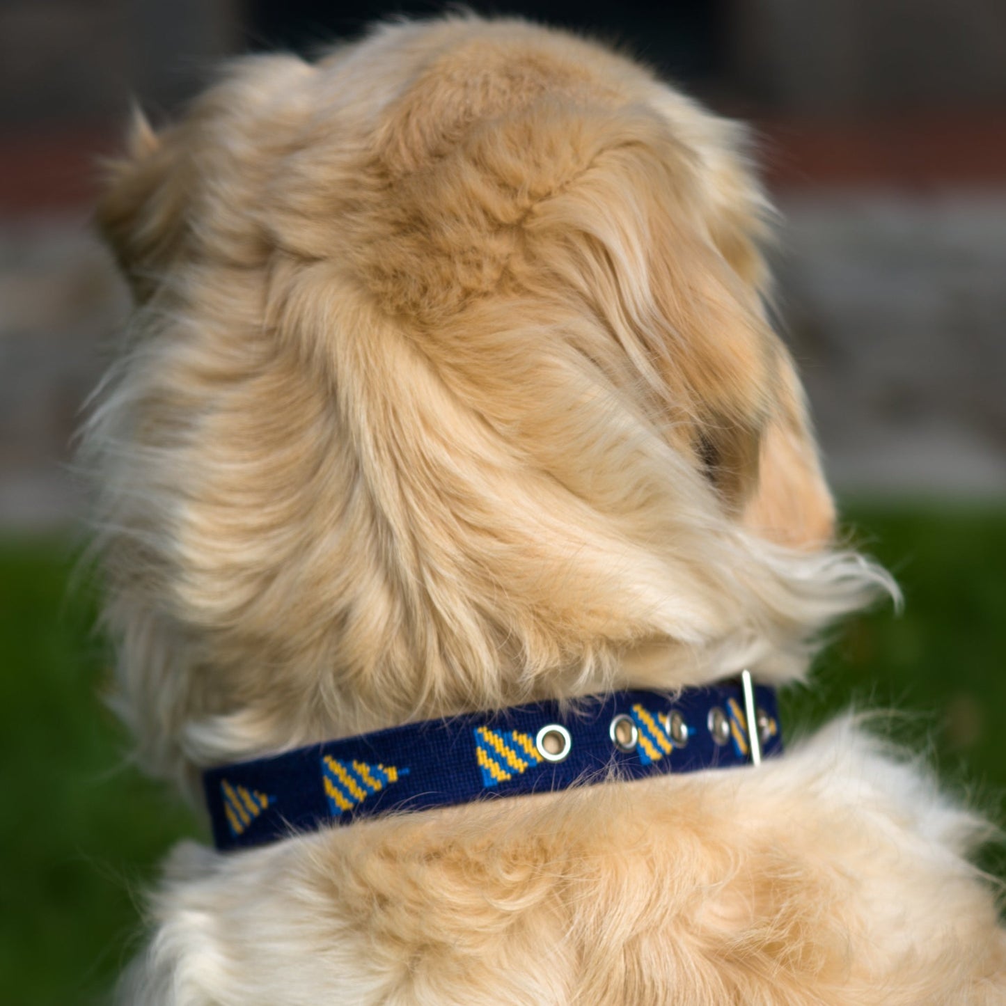 B&G Burgee Dog Collar