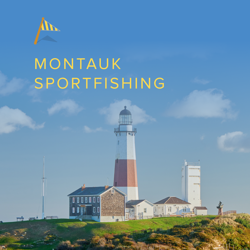 Montauk Sportfishing Half Day (4 hrs, Inshore): Starting at $1,080