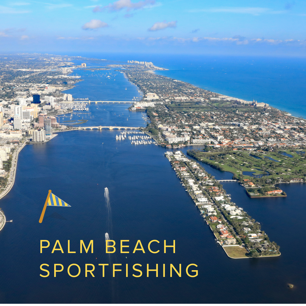Palm Beach Sportfishing Half Day (4 hrs): Starting at $2,040
