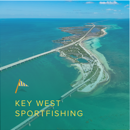 Key West Sportfishing Half Day (4 hrs):