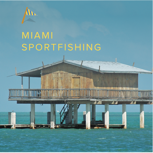 Miami Sportfishing Half Day (4 hrs): Starting at $1,020