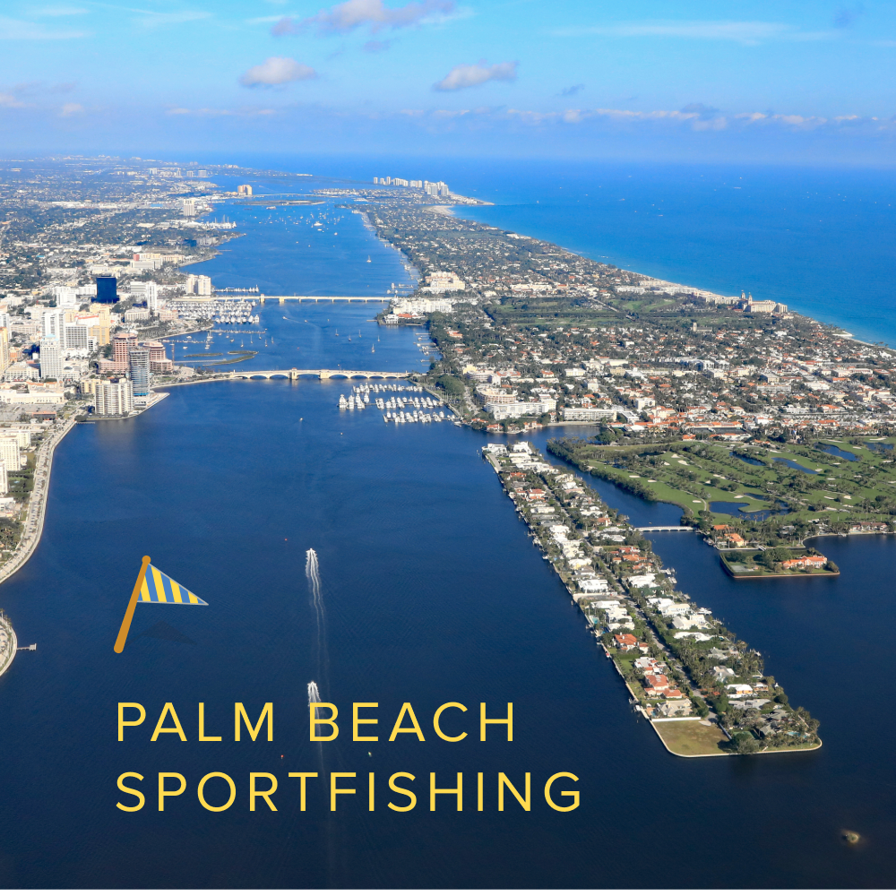 Palm Beach Sportfishing | Winter 2023/2024