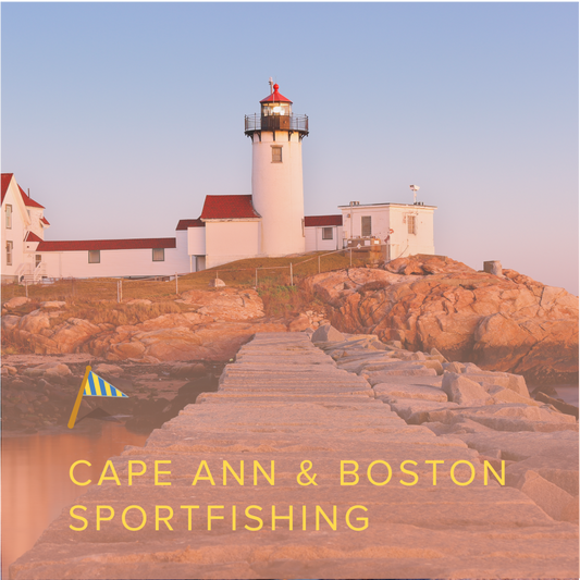 Cape Ann & Boston Sportfishing | Fall 2024