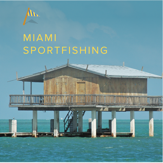 Miami Sportfishing | Winter 2023/2024